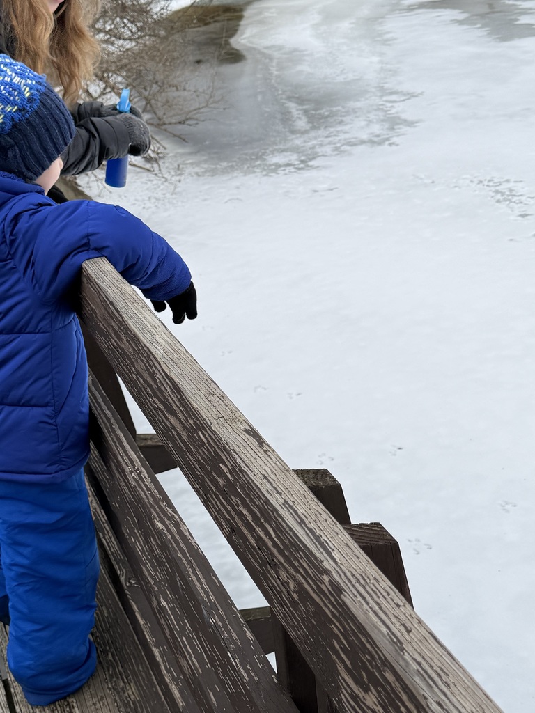 Looking for animal tracks in the snow!