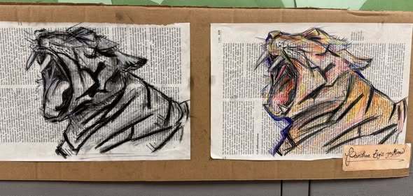 Scientific Illustration