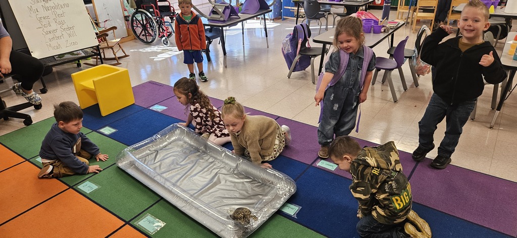 kindness to class pet
