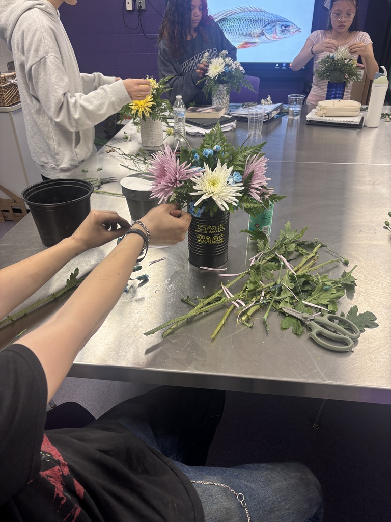 Last week, students in Mrs. Ryan’s Horticulture class created their very first floral arrangements! Each student was challenged to choose an adult in the building who has made a meaningful impact on their life, decorate a recycled tin can, and create a special floral arrangement just for them.  This project was about more than learning floral design. It was an opportunity for students to get creative, show appreciation, and give back to someone who has made a difference in their lives.  We are so proud of our students for putting their creativity and gratitude into these beautiful arrangements!