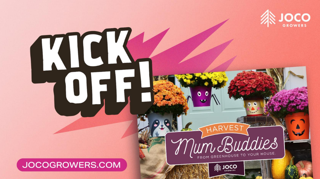 Williams Ave PTA MUM sale
