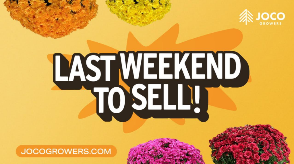 LAst Weekend for PTA Mums Sale