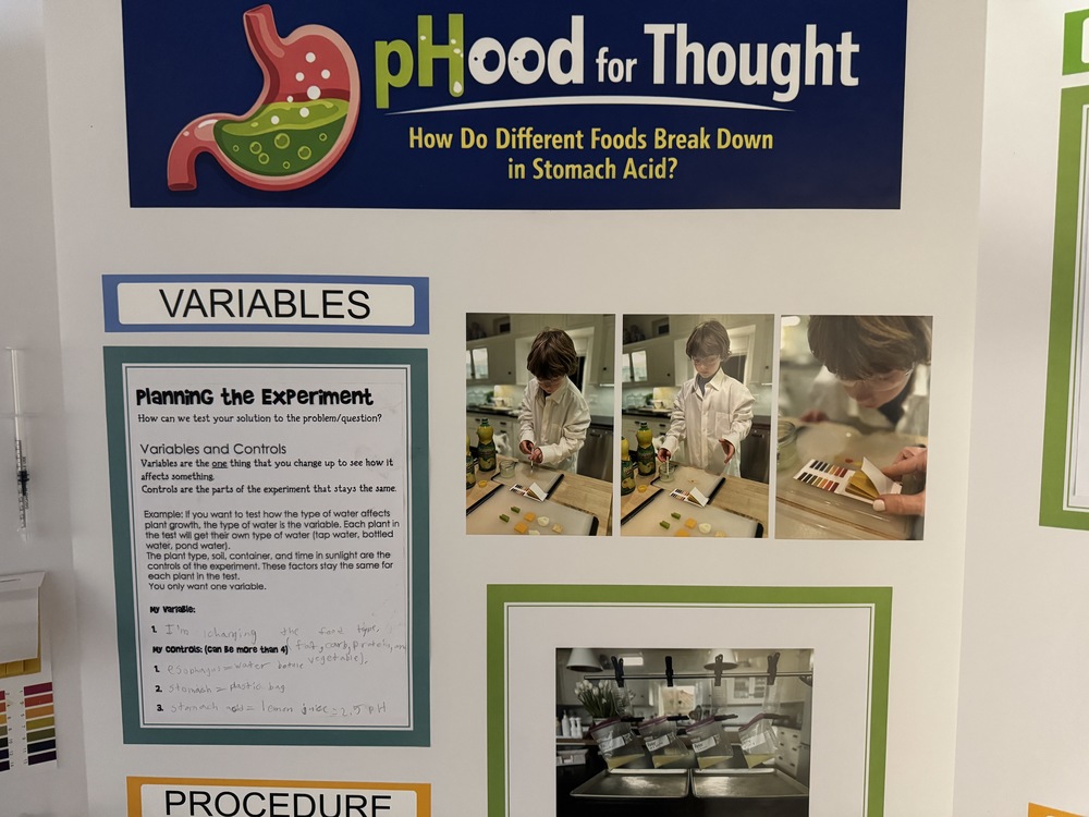 Science Fair Winners