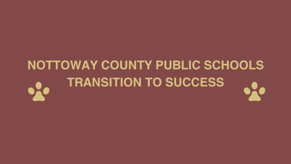 Transition to success cover