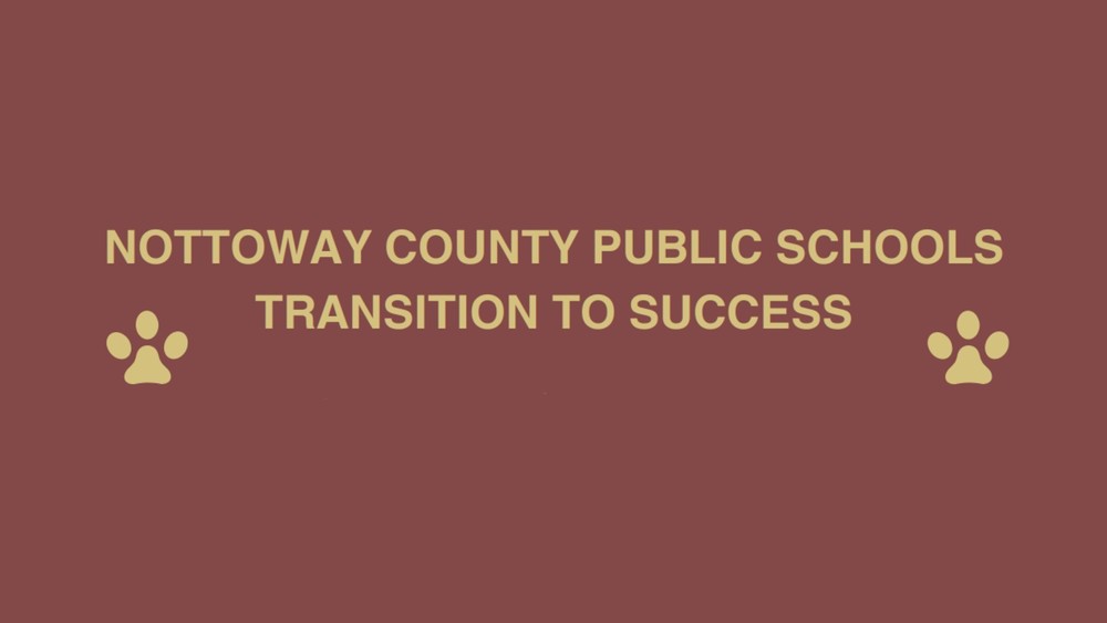 transition to success