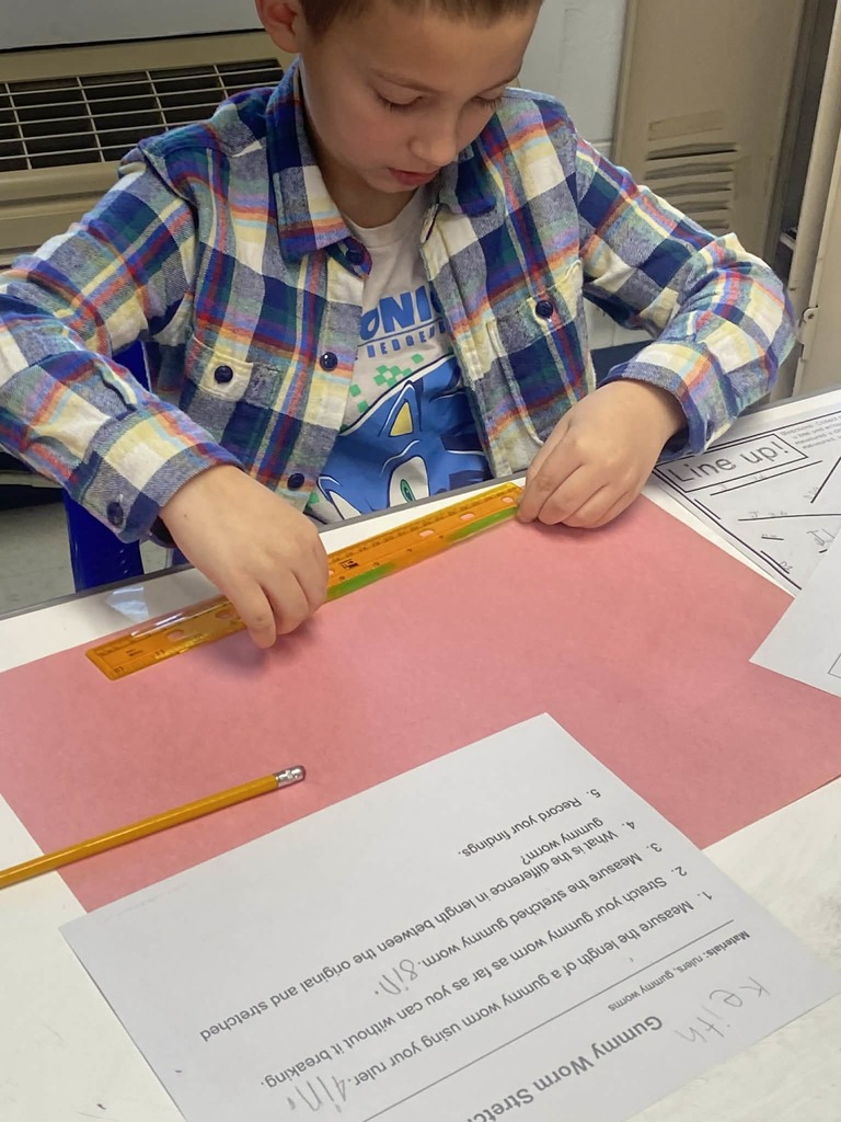Second grade students measuring gummy worms.