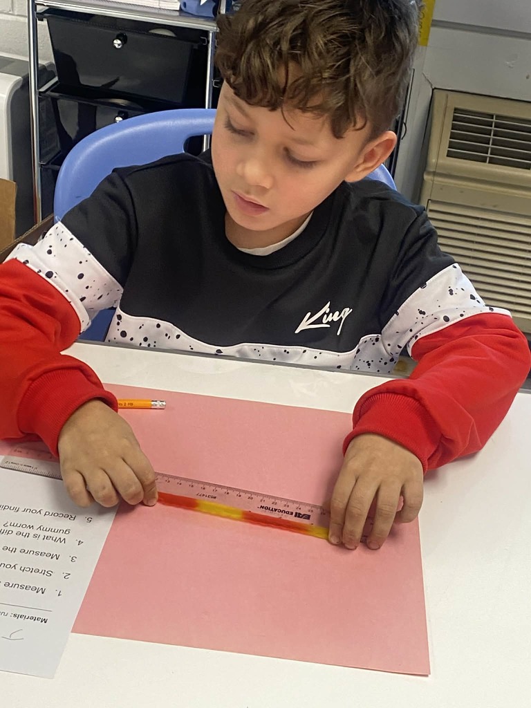 Second grade students measuring gummy worms.