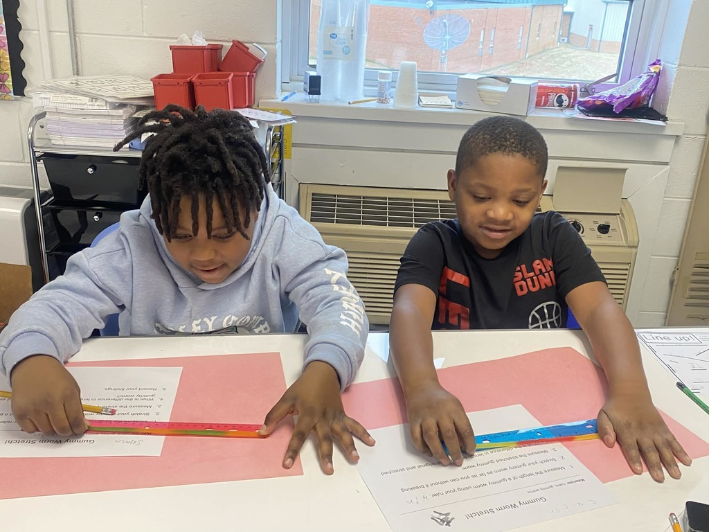 Second grade students measuring gummy worms.