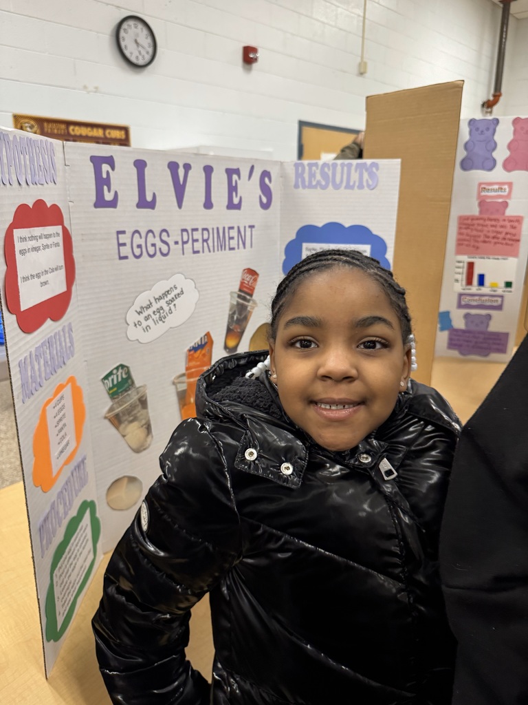Second Grade Science Fair
