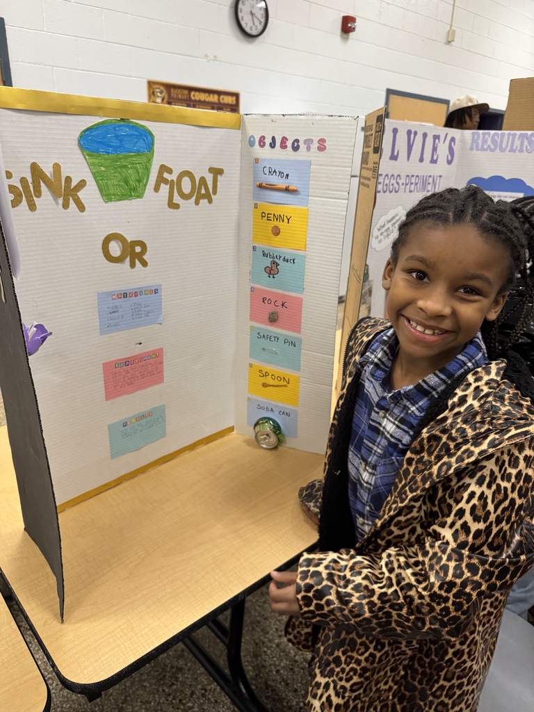 Second Grade Science Fair
