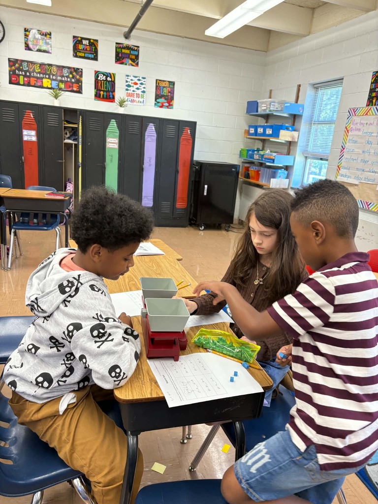 Learning in 3rd Grade!
