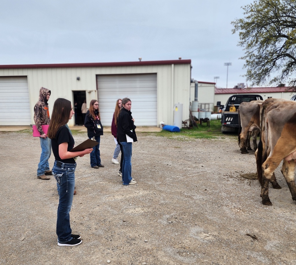 dairy judging