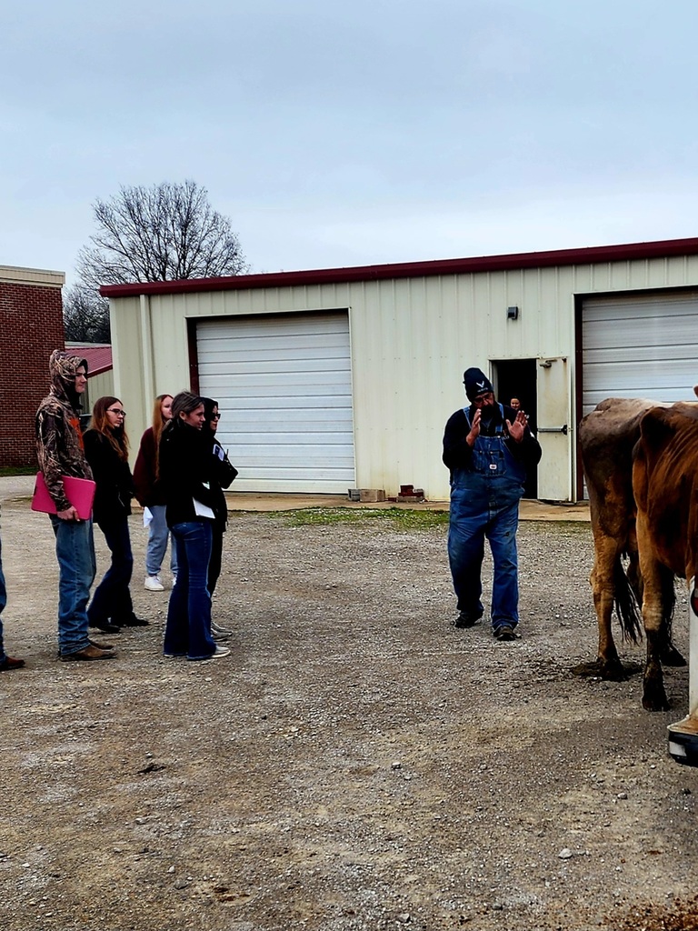 dairy judging