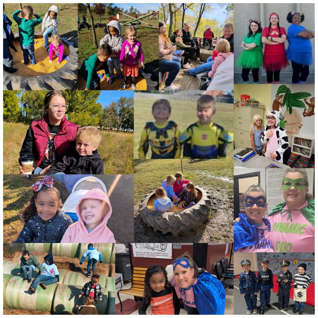 Halloween/pumpkin patch