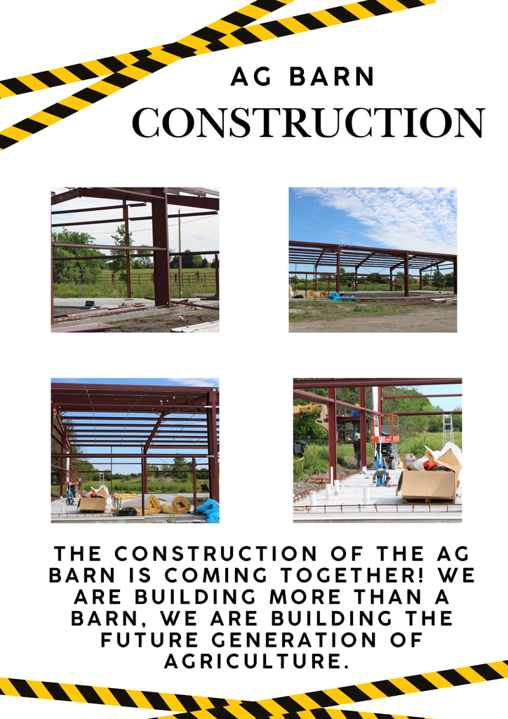 Bond Issue Projects 
