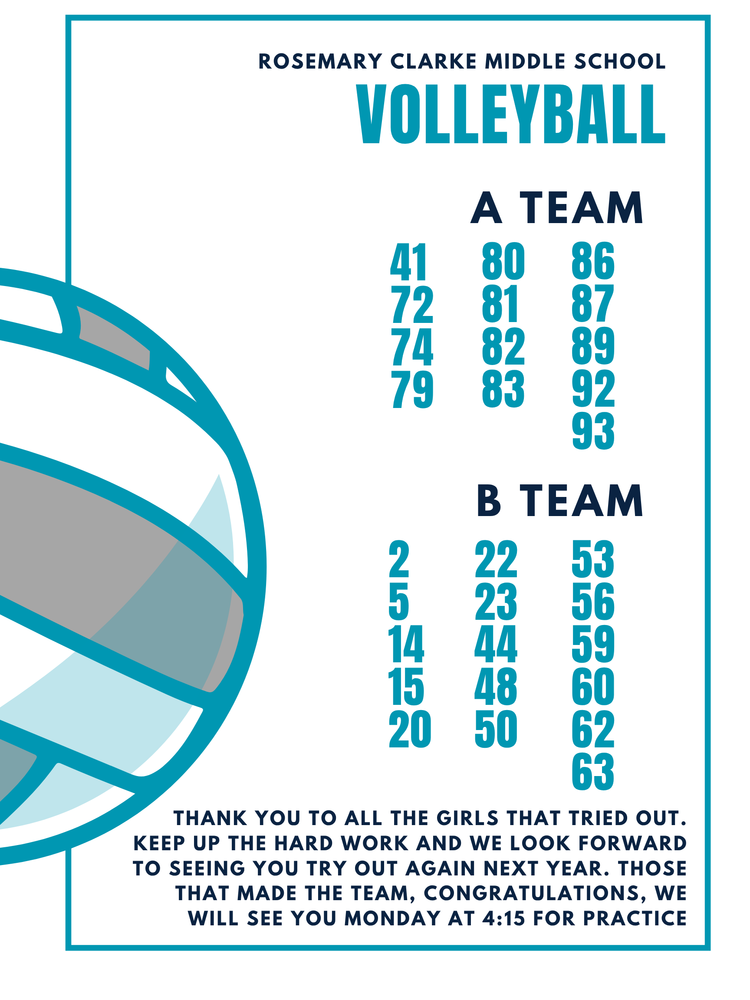 Volleyball teams