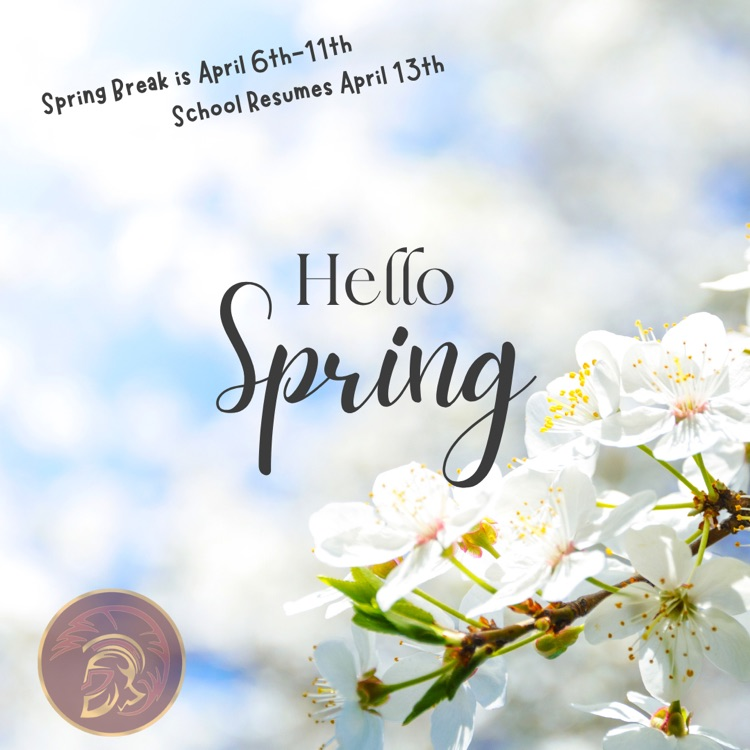 spring break 