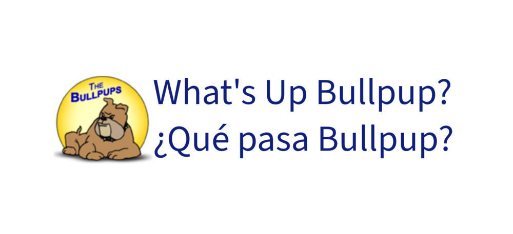 Whats Up Bullpup?                                              ¿Que Pasa Bullpup?