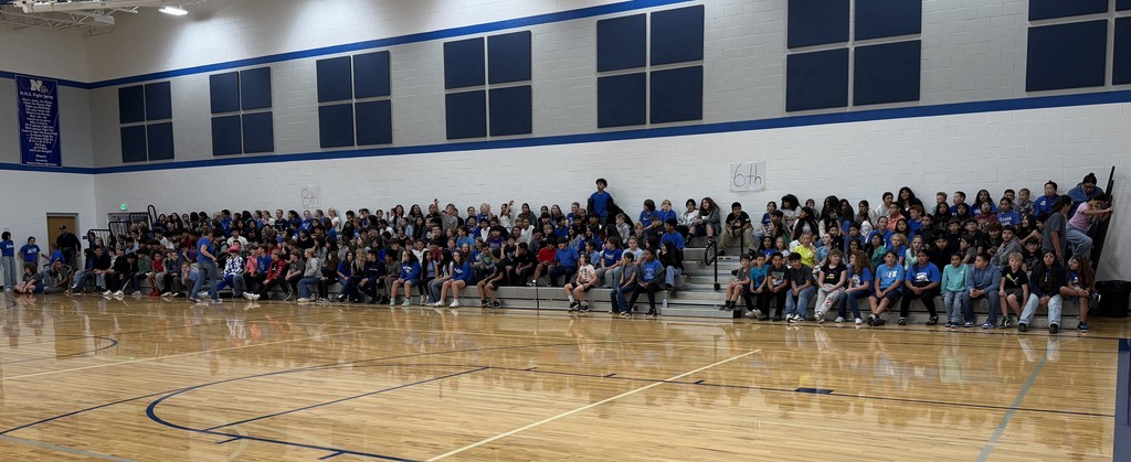 NMS Pep Assembly