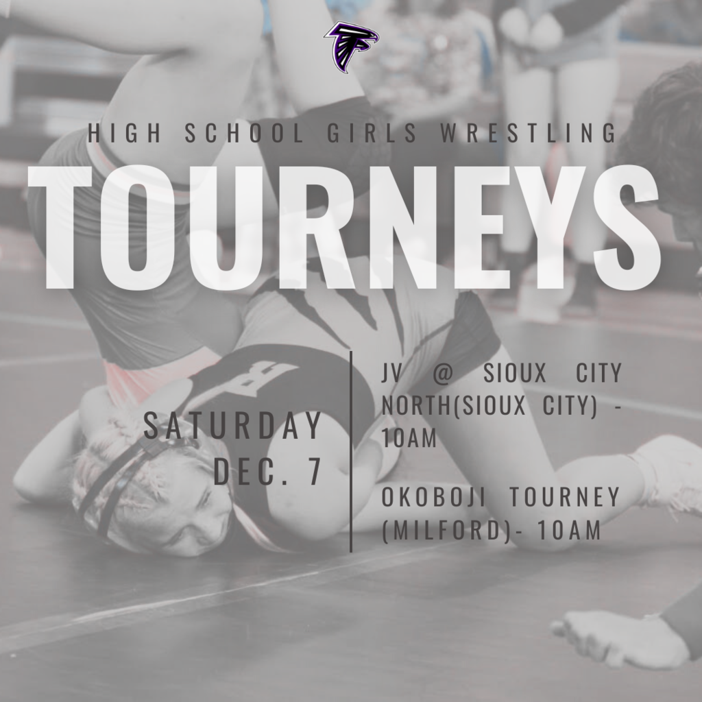HS G Wrestling