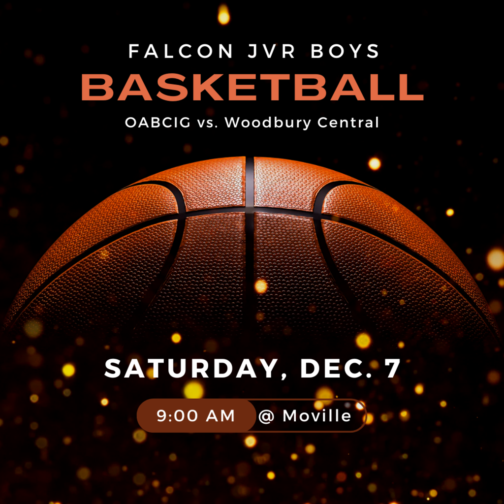 hs jvr bball