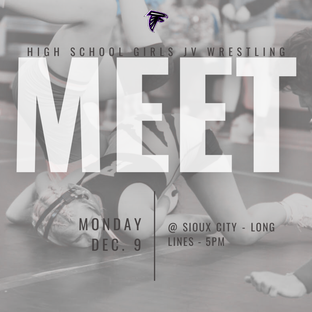 HS G Wrestling
