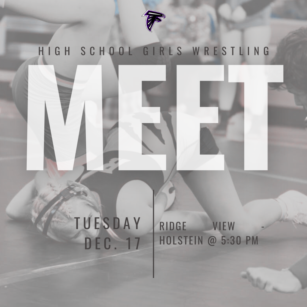 HS G Wrestling