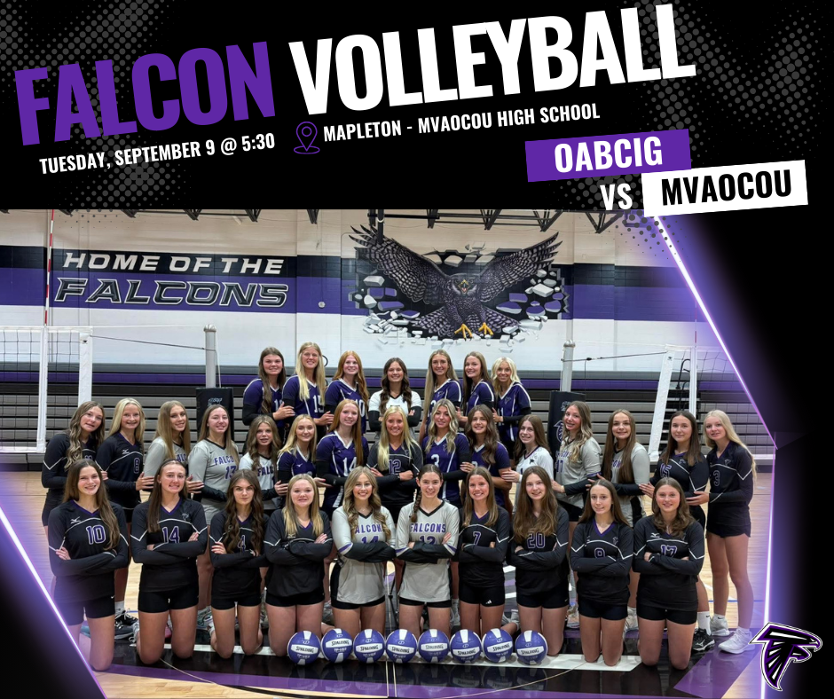 HS VB