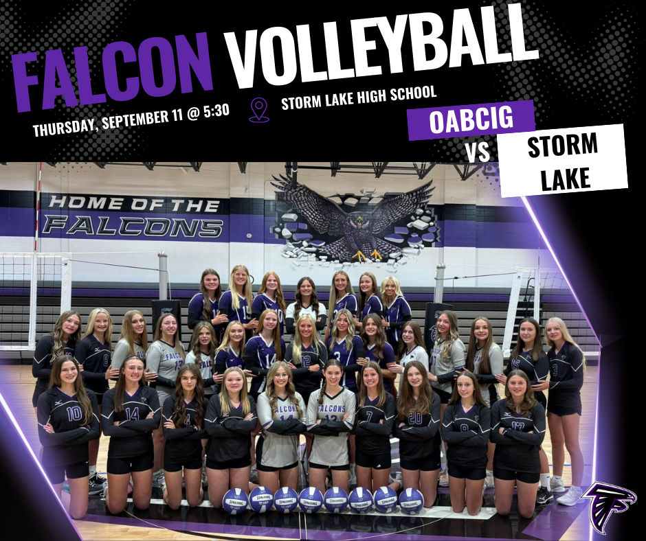 HS VB