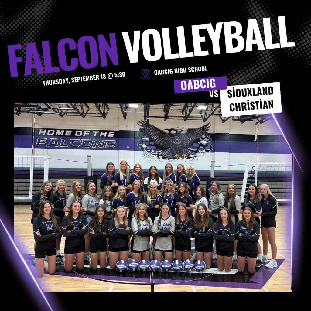 HS VB