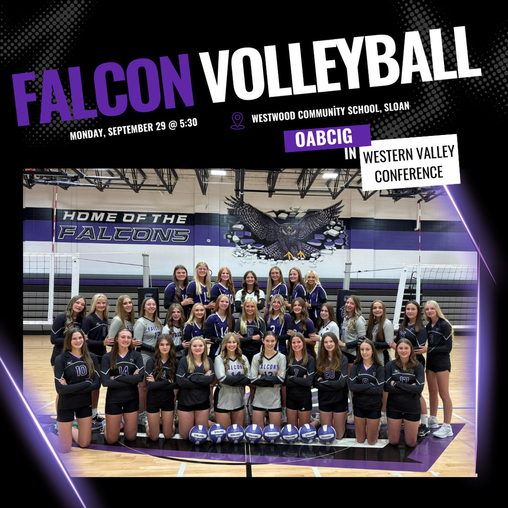 high school volleyball