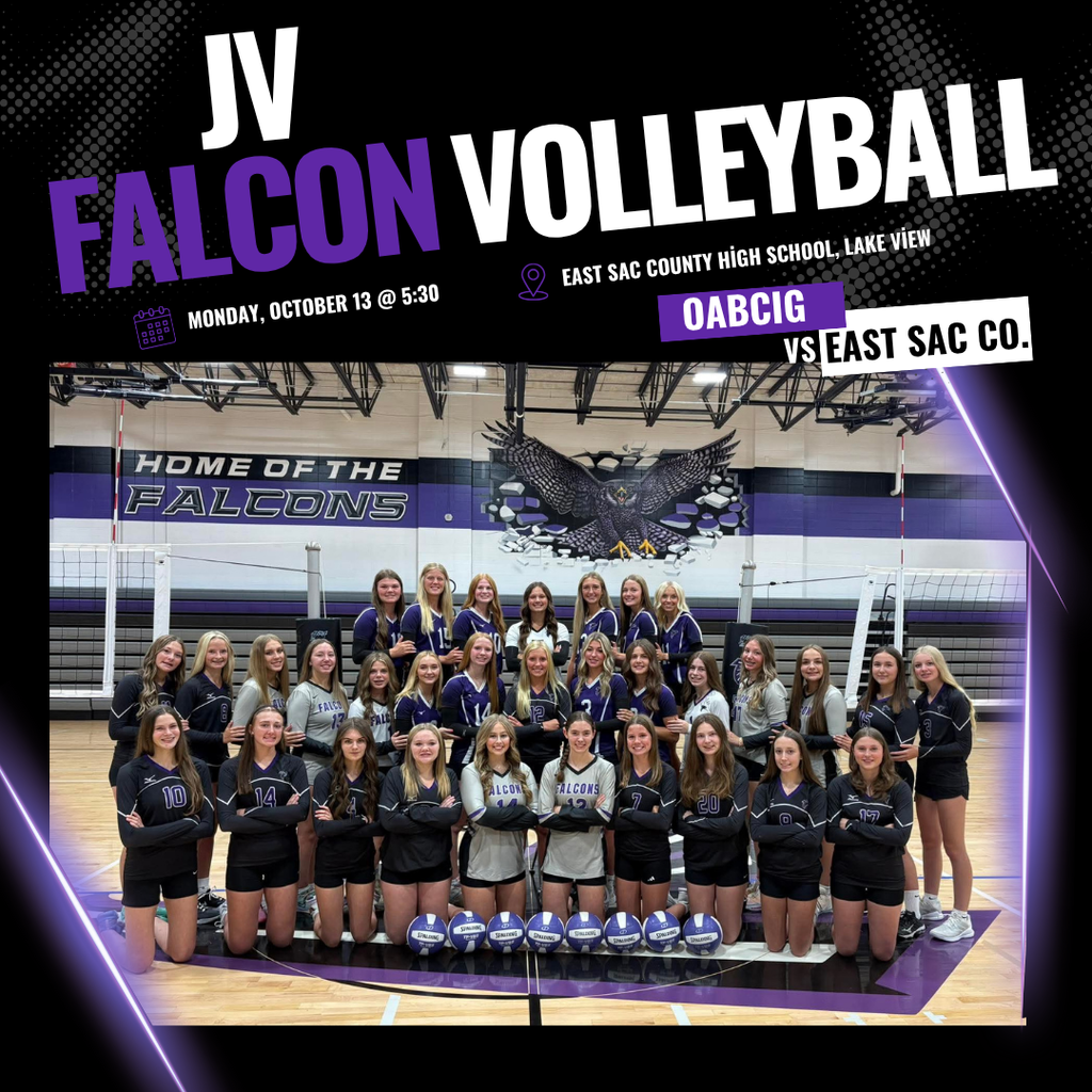 High School Volleyball JV game