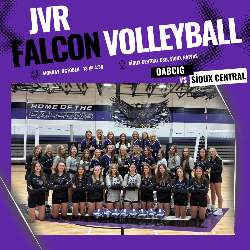 High School Volleyball JVR game