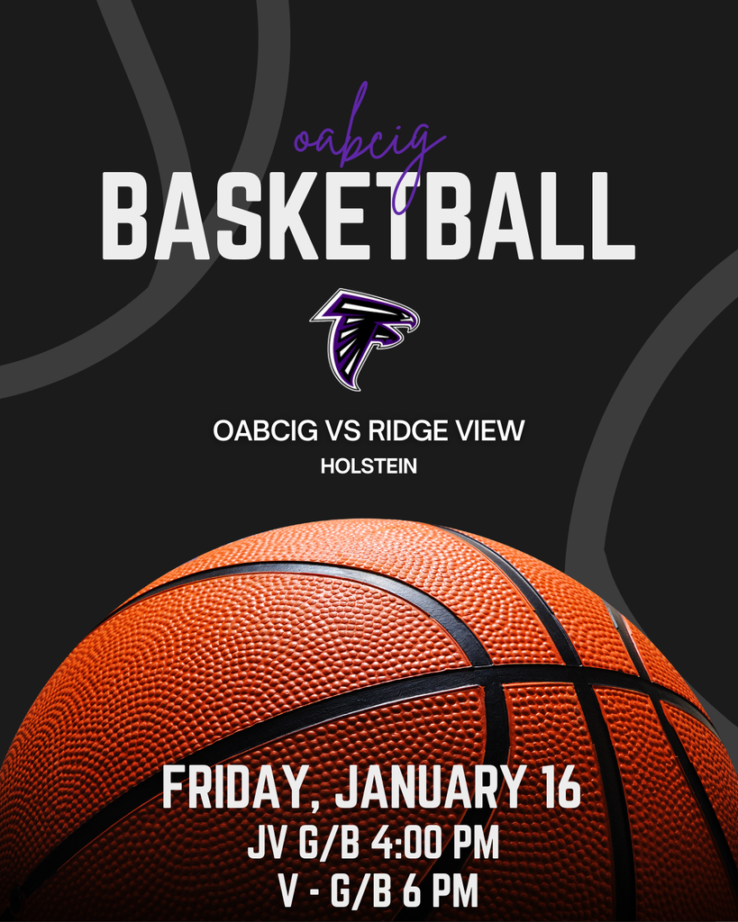 HS Basketball vs Ridge View in Holstein