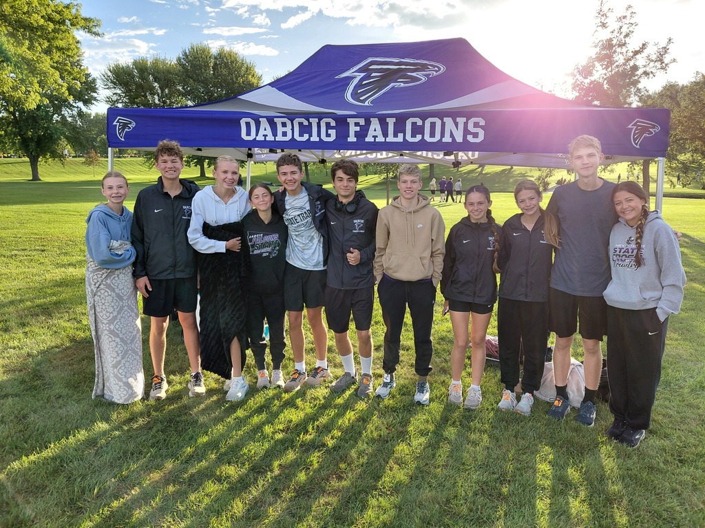 High School Cross Country team