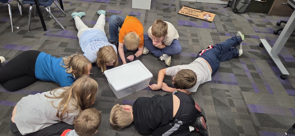 Danielle Bennett from the Conservation came to talk to Ida Grove third grade about turtles and their traits. She brought a land and water turtle to show students the different traits they have to survive in their environment.
