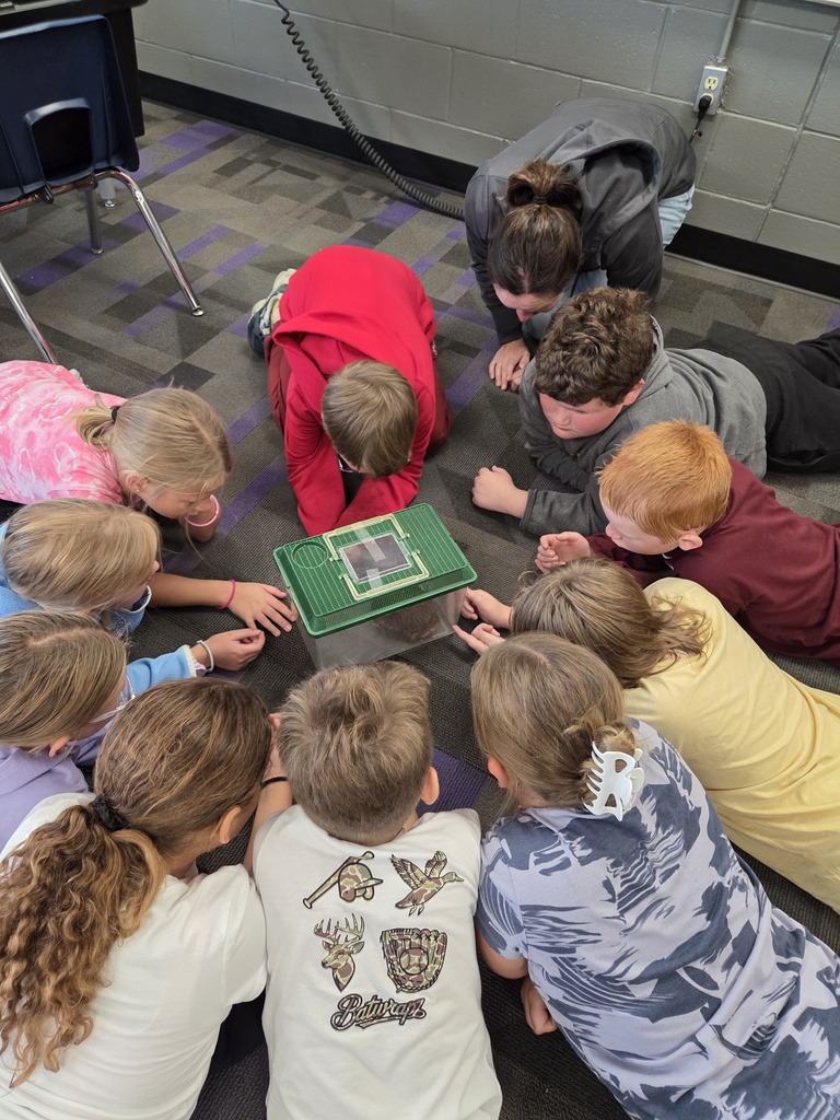 Danielle Bennett from the Conservation came to talk to Ida Grove third grade about turtles and their traits. She brought a land and water turtle to show students the different traits they have to survive in their environment.