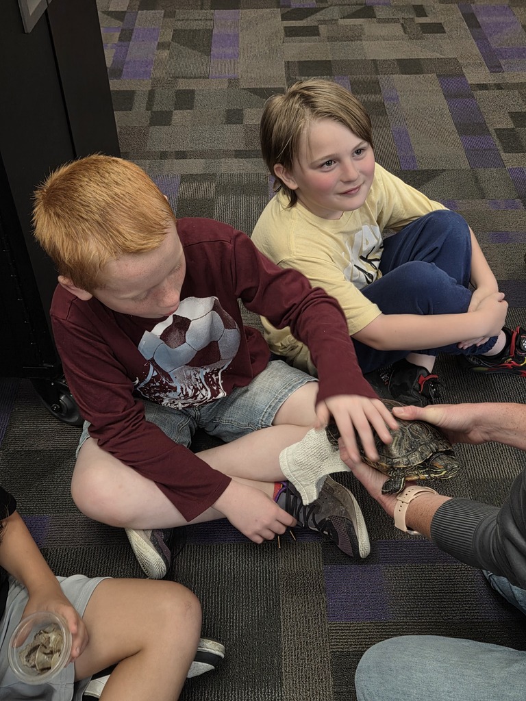 Danielle Bennett from the Conservation came to talk to Ida Grove third grade about turtles and their traits. She brought a land and water turtle to show students the different traits they have to survive in their environment.