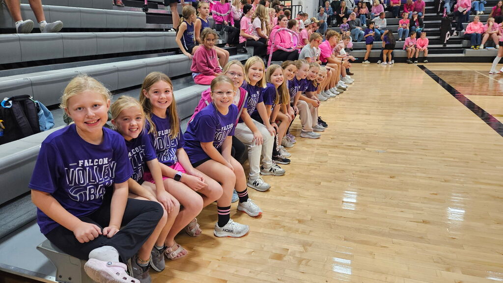 OABCIG Volleyball Youth Night at Pink Out Game