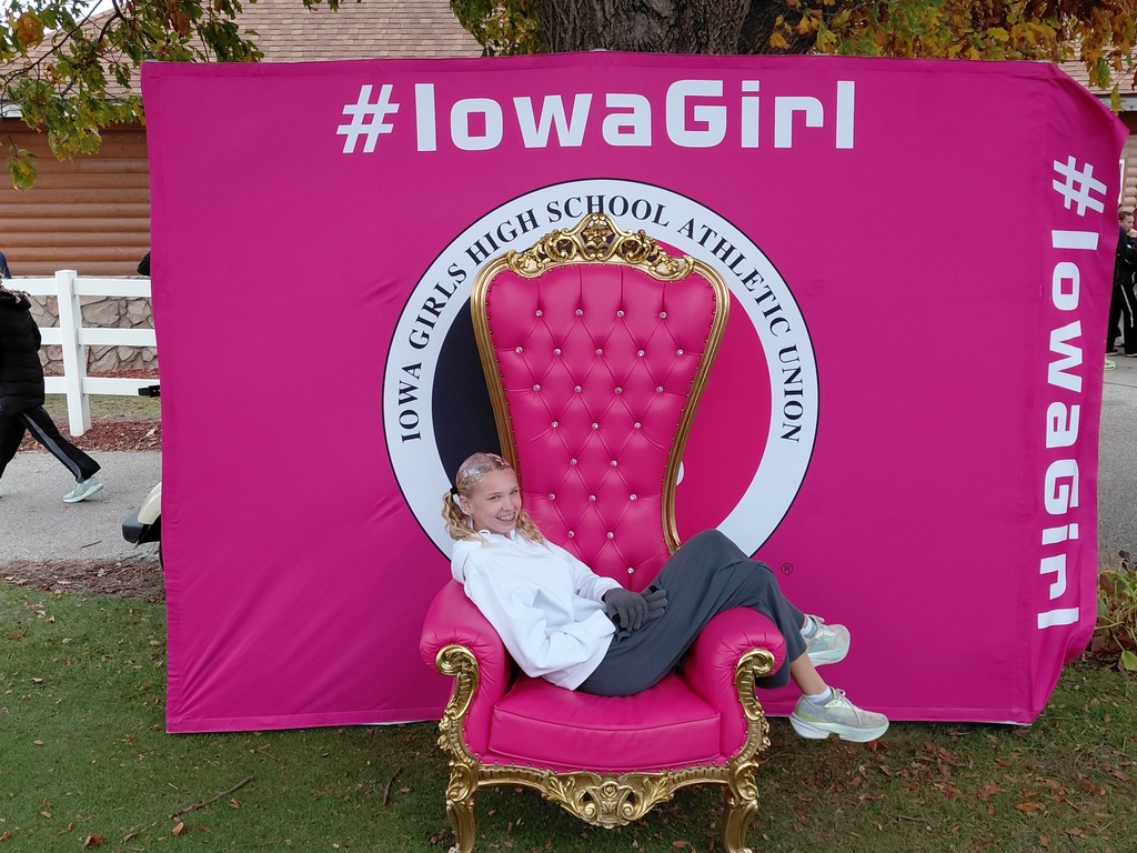 Addi Iowa Girls High School Athletic Union chair