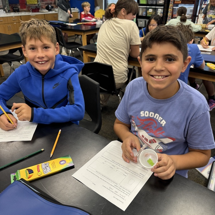 gummy bear lab 