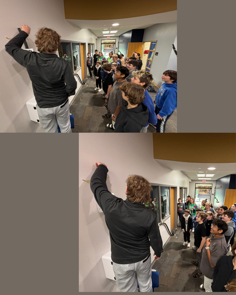 Roller Coasters 7th Science