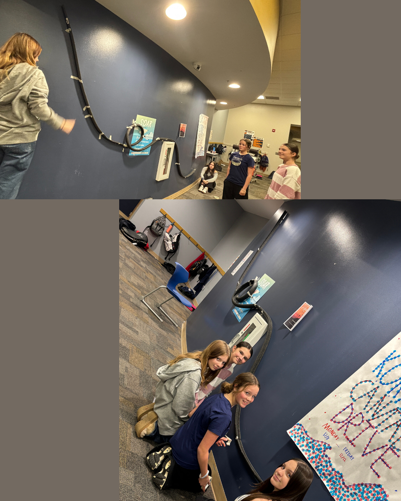 Roller Coasters 7th Science