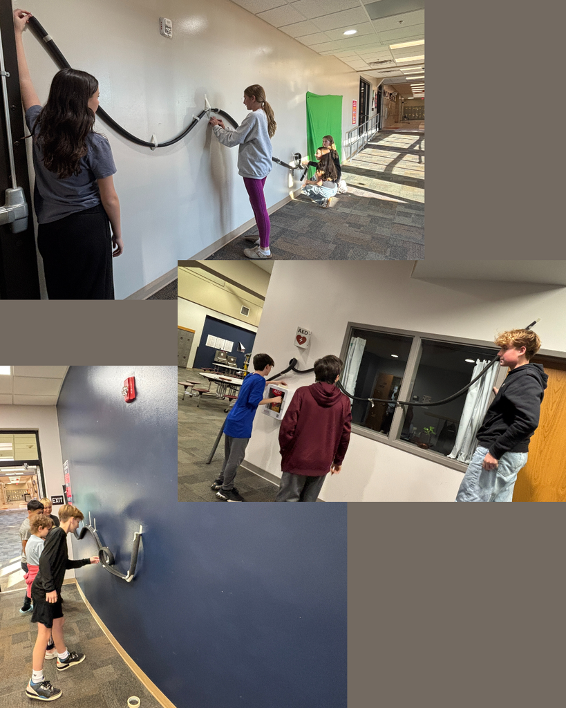 Roller Coasters 7th Science