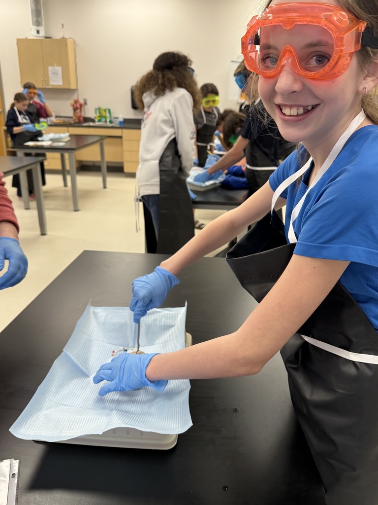 6th grade dissection 