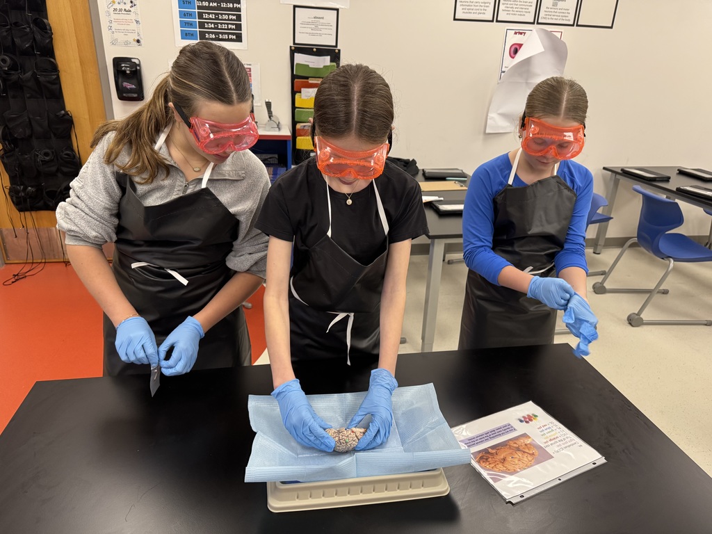 6th grade dissection 