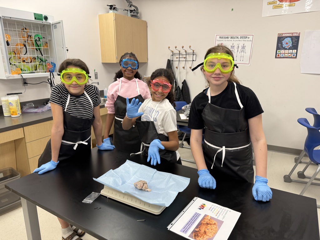 6th grade dissection 