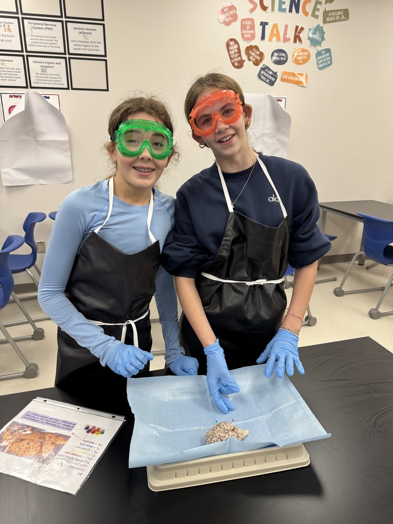 6th grade dissection 