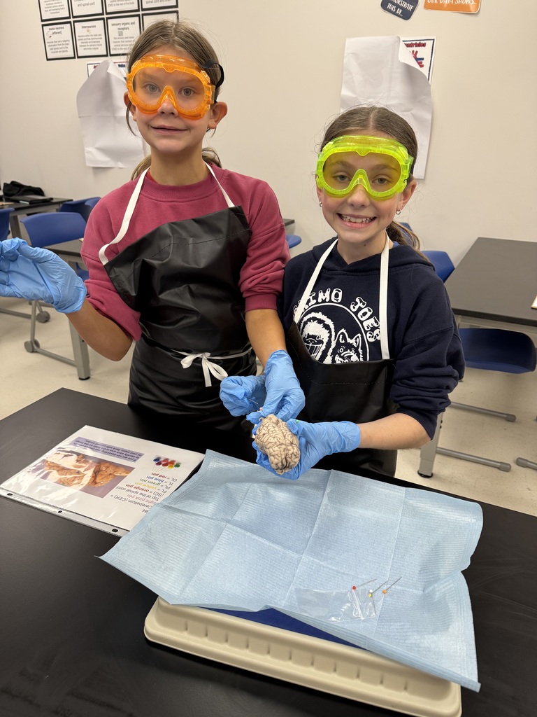 6th grade dissection 