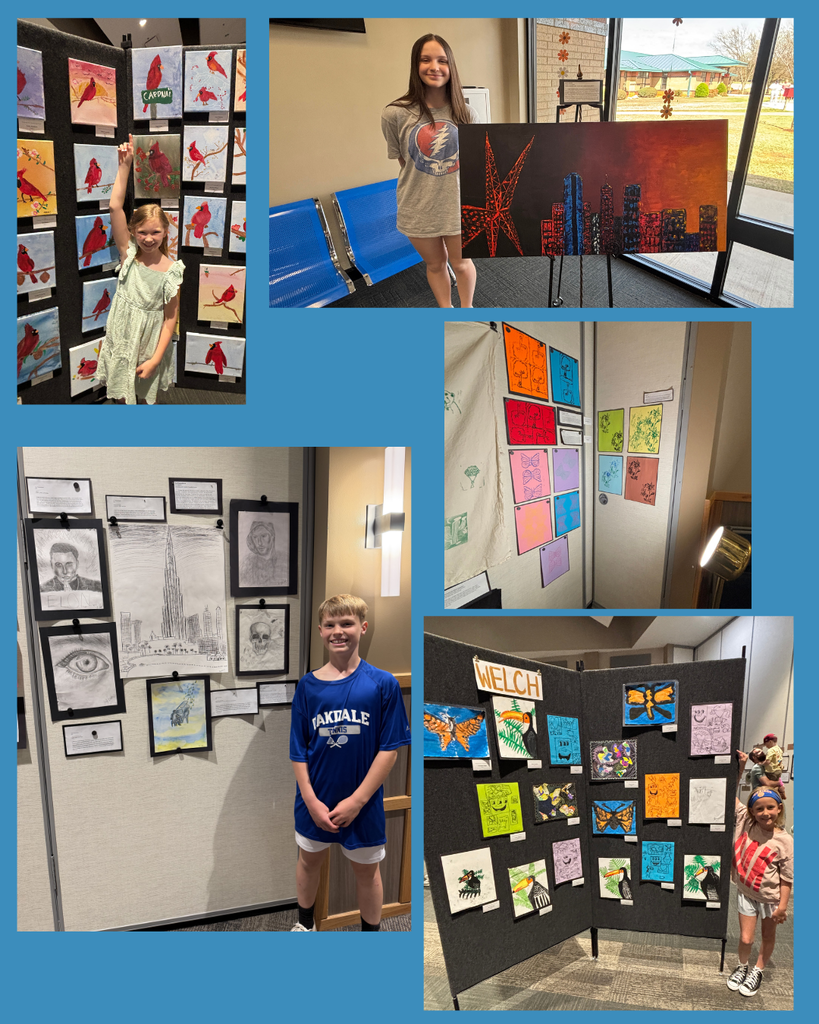 Art showcase